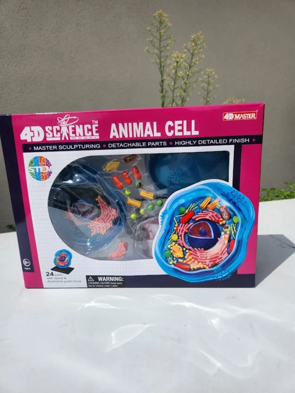 4D Science Animal Cell Anatomy Model High Quality Sculpture Highly Detailed Scho